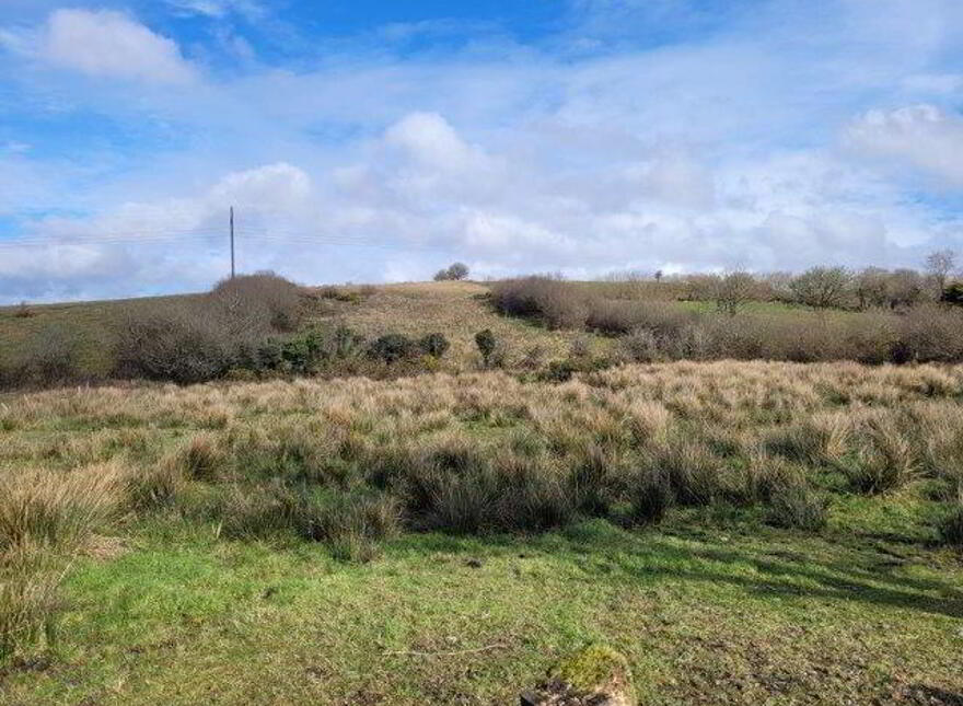 Bloomfield, Ballintogher