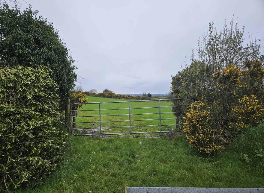 Land And Slatted Shed To Let For, 5 Years At Drumdoit, Castlefinn photo