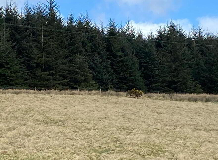 Cashelnavean, Ballybofey