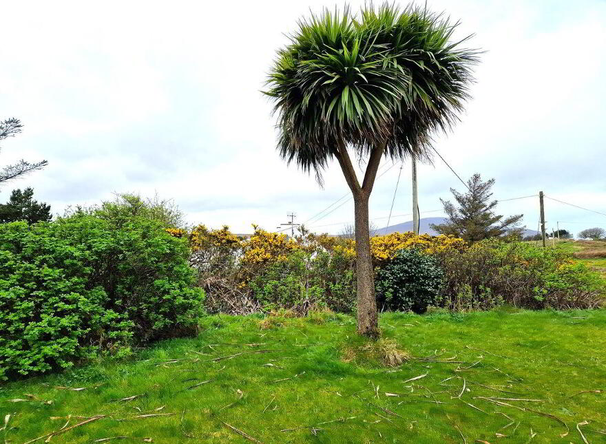 Derryconner, Gortahork