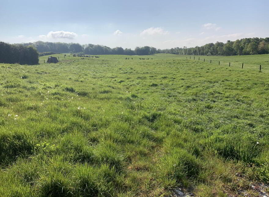 Cloonaloughan, Cloughjordan