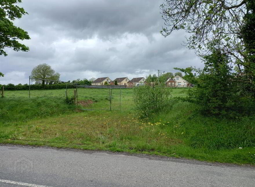 Road, Rhode, R35TP21