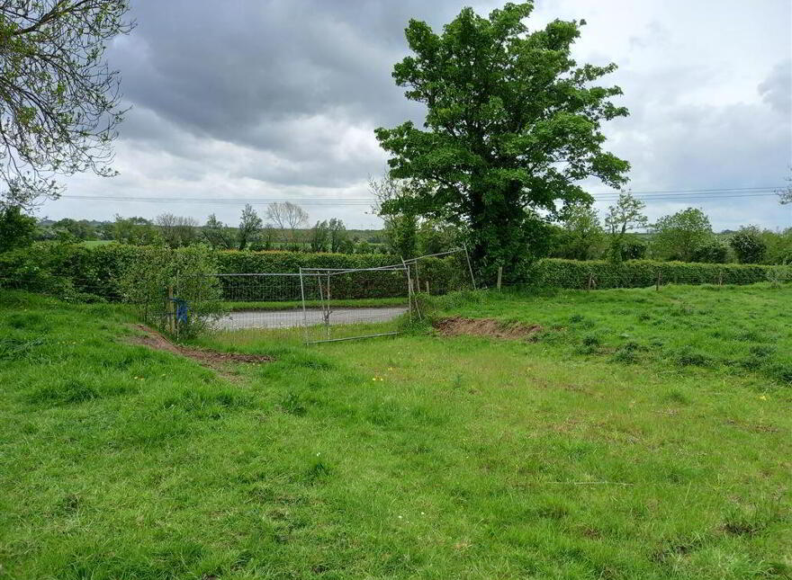 Road, Rhode, R35TP21