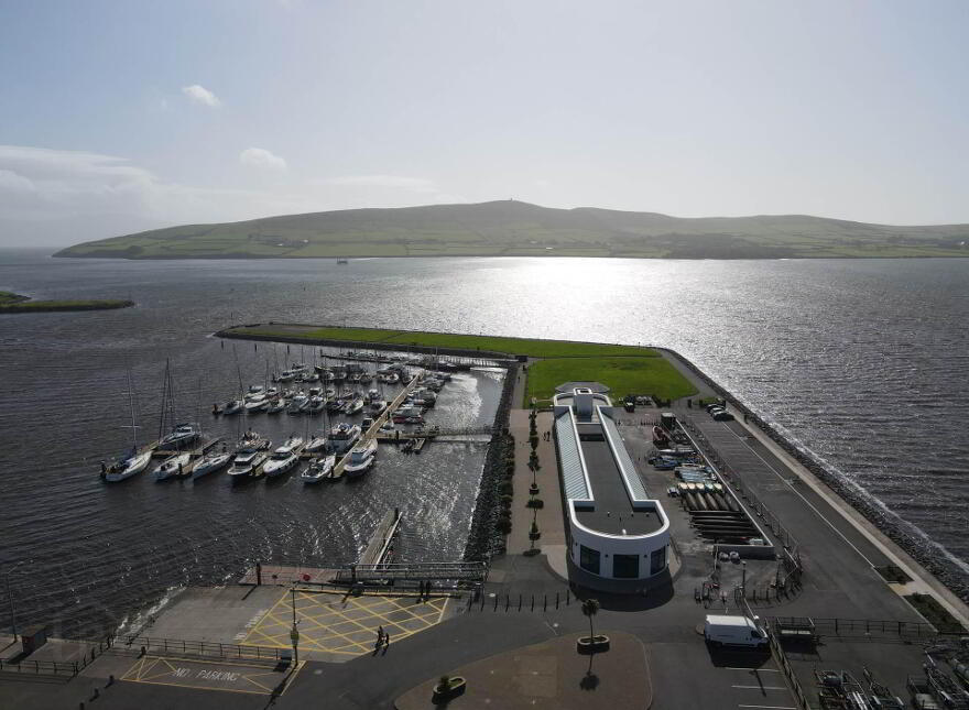 The Wood, Dingle