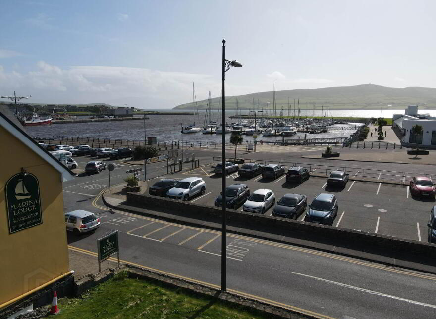The Wood, Dingle