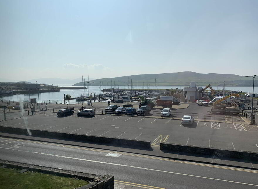 The Wood, Dingle
