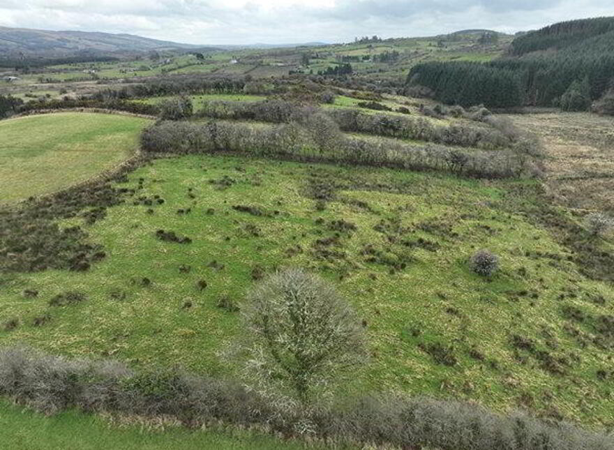 Rannatruffaun, Geevagh BER Number:, Geevagh, NA