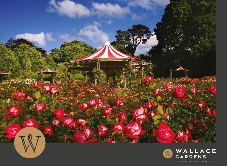 The Whitten, Wallace Gardens, Lisburn