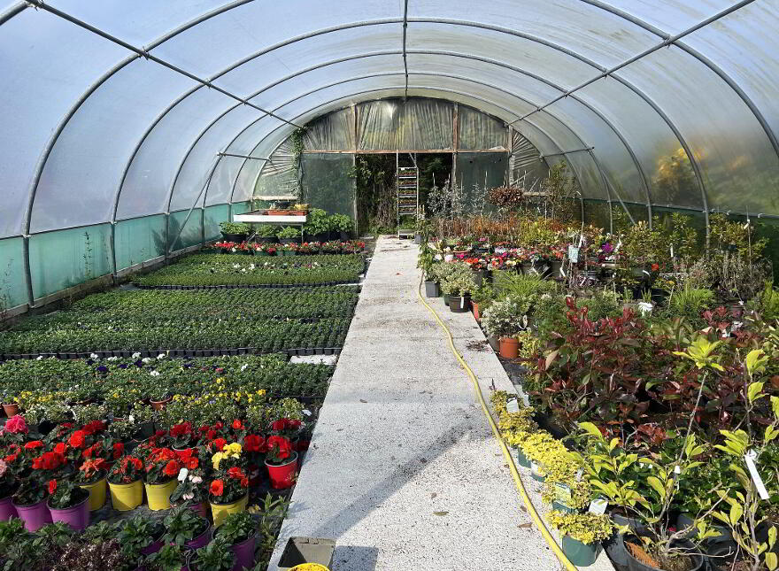 Woodford Garden Centre, Woodford photo