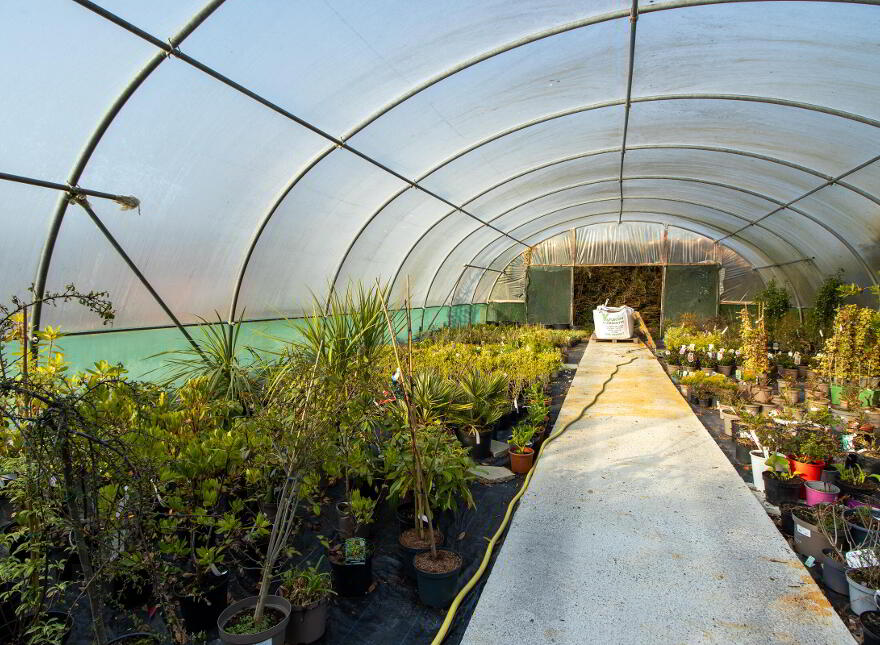 Woodford Garden Centre, Woodford