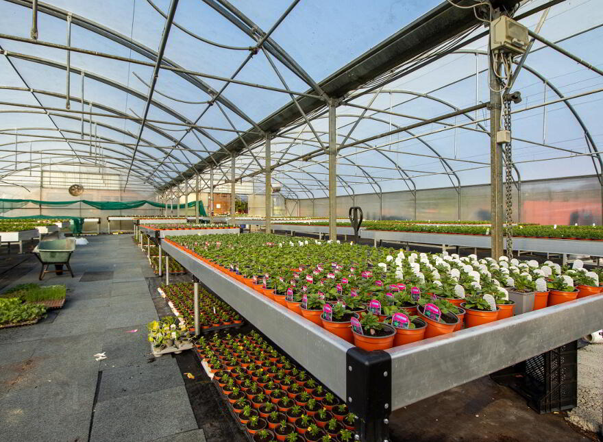 Woodford Garden Centre, Woodford