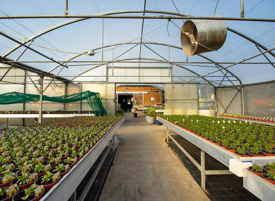 Woodford Garden Centre, Woodford