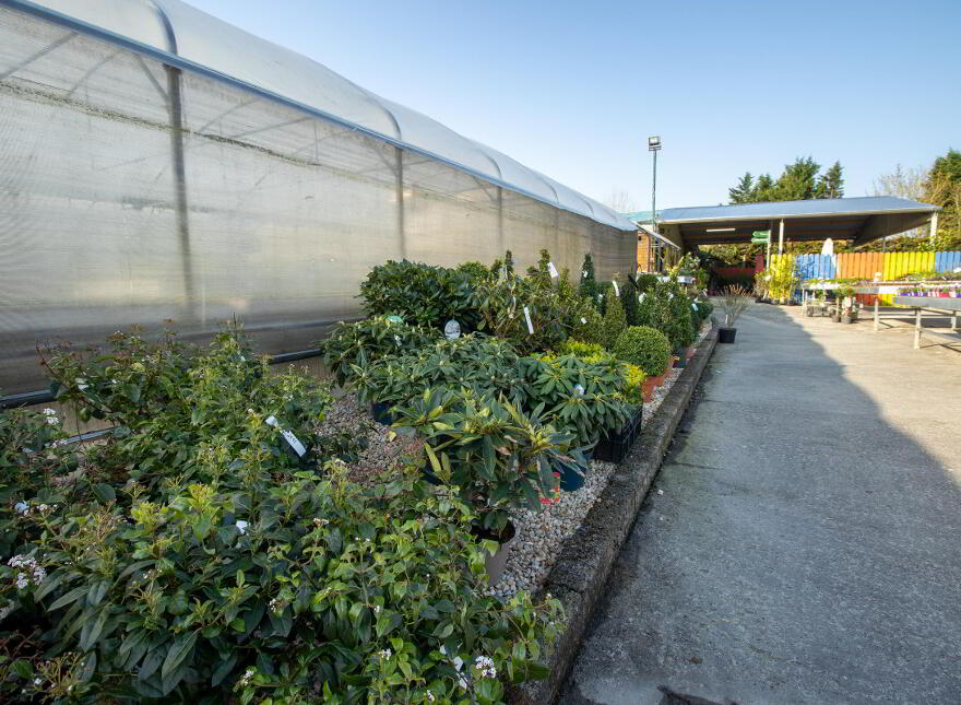 Woodford Garden Centre, Woodford