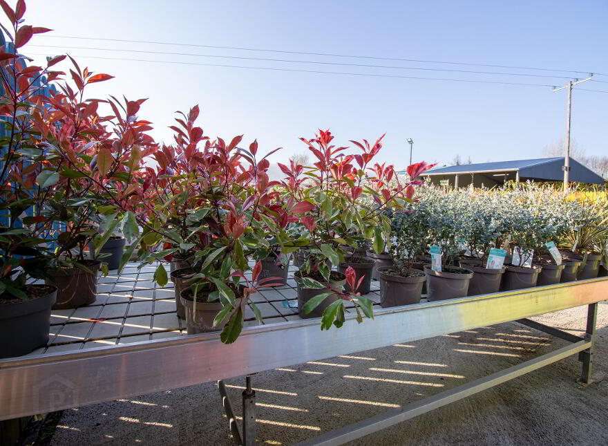 Woodford Garden Centre, Woodford