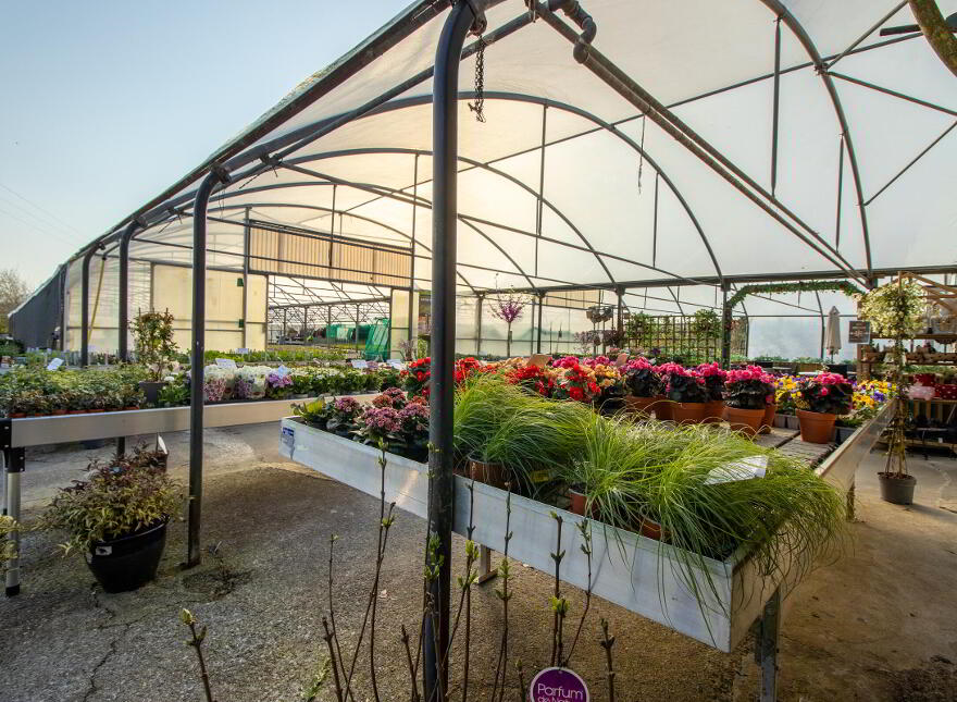 Woodford Garden Centre, Woodford