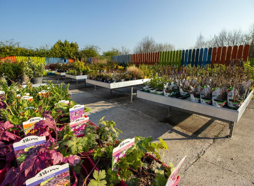 Woodford Garden Centre, Woodford