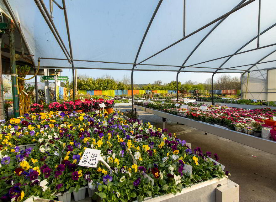 Woodford Garden Centre, Woodford