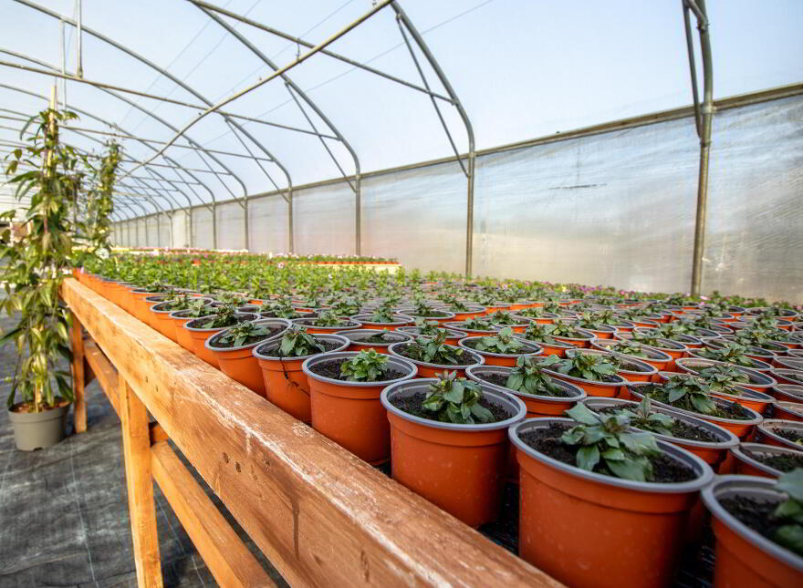 Woodford Garden Centre, Woodford