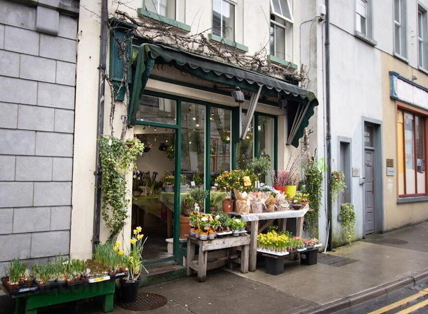 Maddens Florist, Flood Street, Galway City Centre photo
