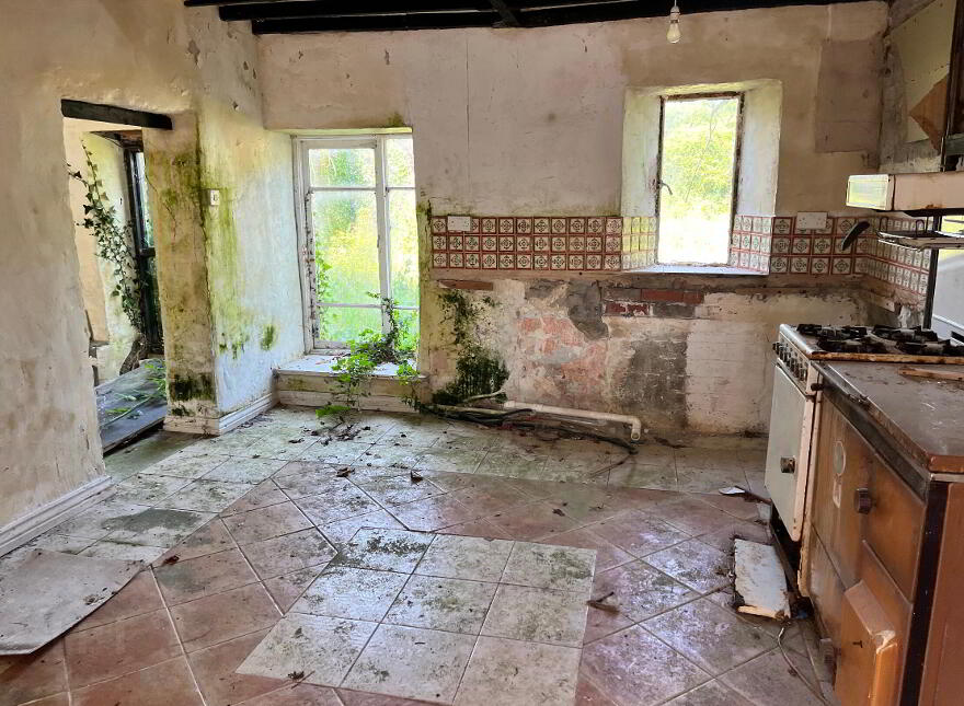 3 X Residential Properties, Shop & Former Bar, Hollymount,Mayo, F12EP60