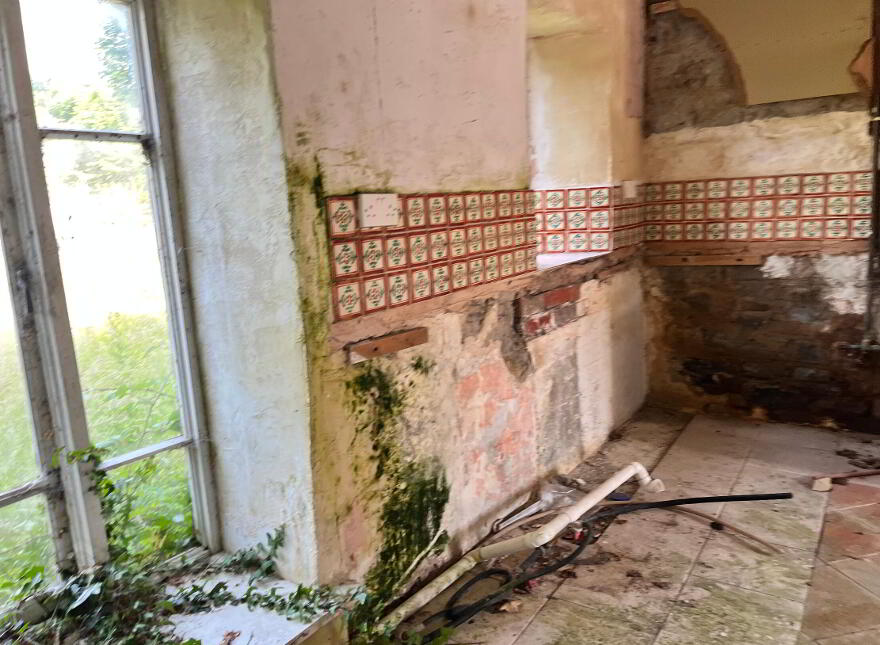 3 X Residential Properties, Shop & Former Bar, Hollymount,Mayo, F12EP60