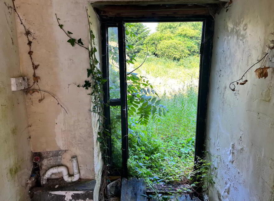 3 X Residential Properties, Shop & Former Bar, Hollymount,Mayo, F12EP60
