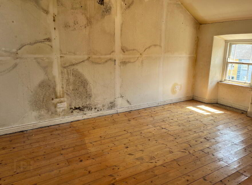 3 X Residential Properties, Shop & Former Bar, Hollymount,Mayo, F12EP60