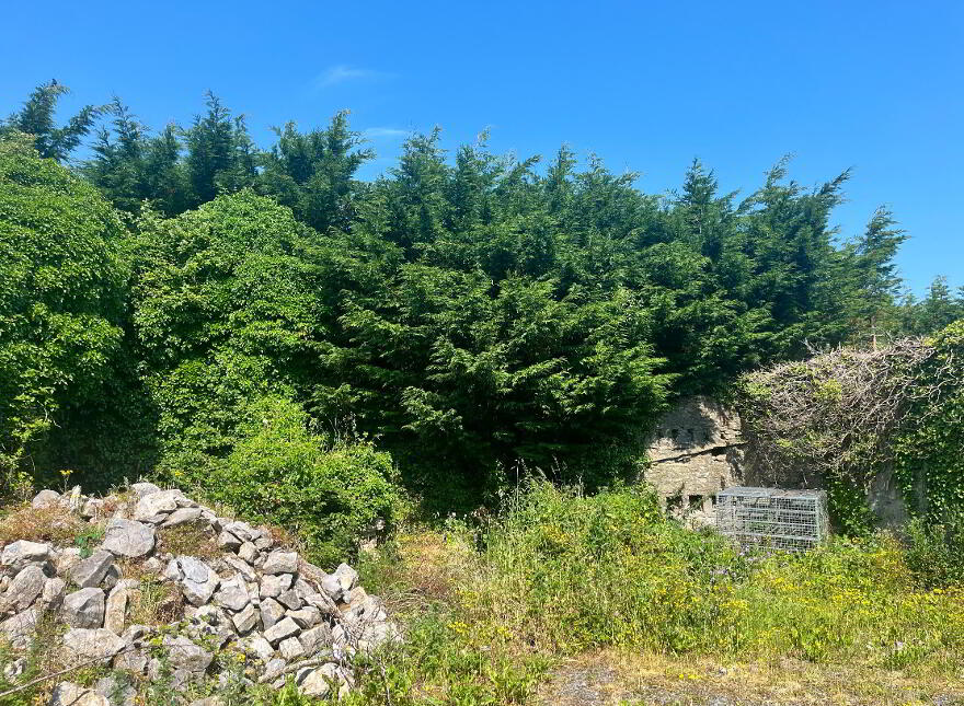 3 X Residential Properties, Shop & Former Bar, Hollymount,Mayo, F12EP60