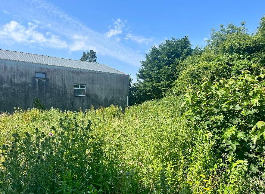 3 X Residential Properties, Shop & Former Bar, Hollymount,Mayo, F12EP60