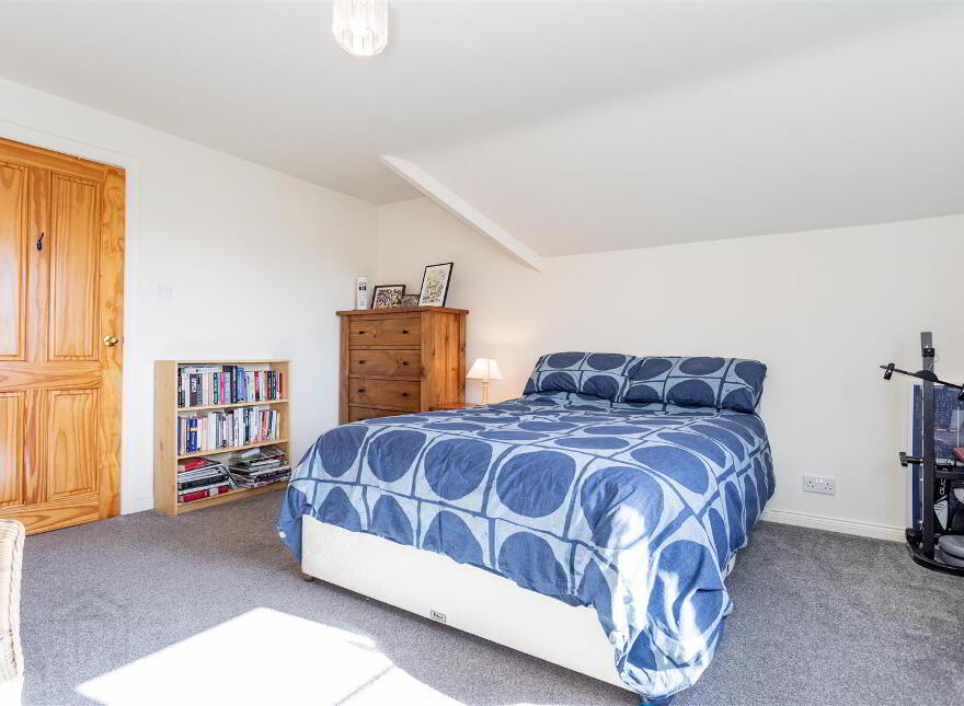 41 Ballygoskin Road, Derryboye, Crossgar, BT30 9LW