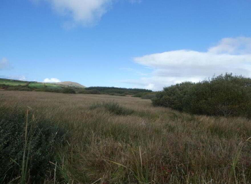 South View Terrace, Waterville
