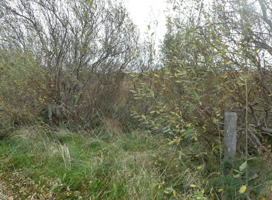 South View Terrace, Waterville