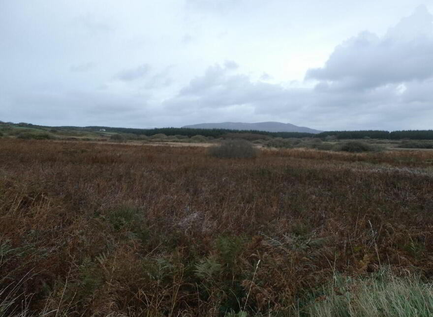 South View Terrace, Waterville