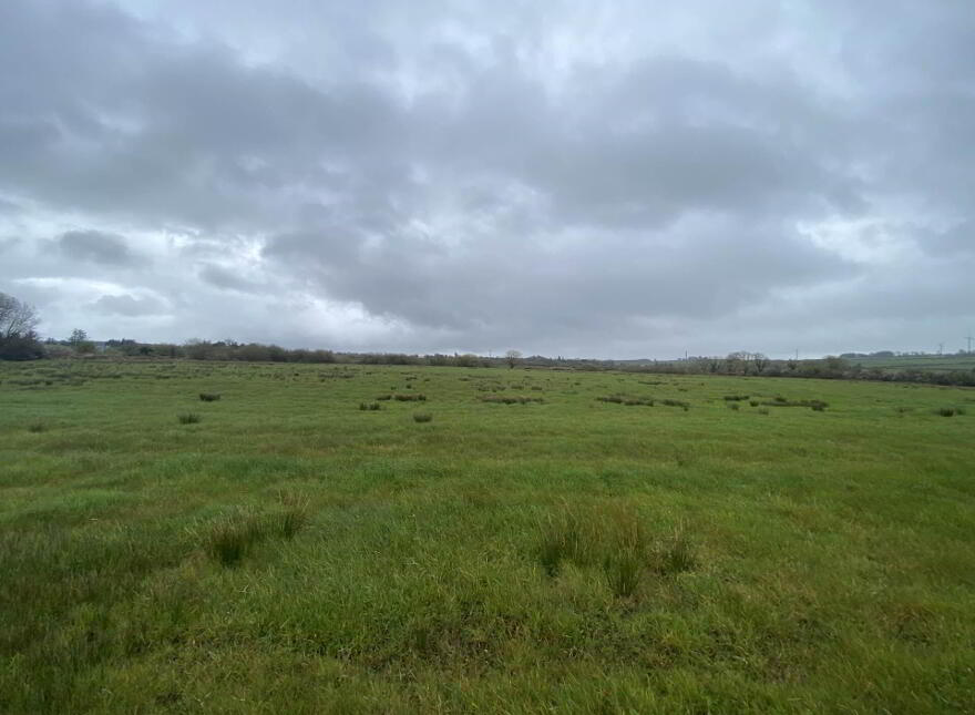 Glennalappa, West, Moyvane