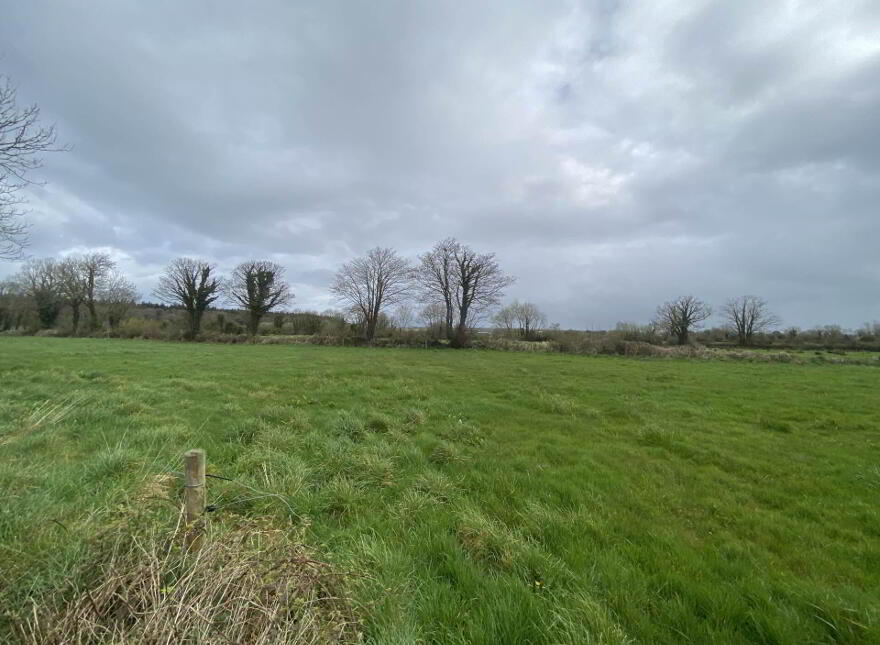 Murher, Moyvane