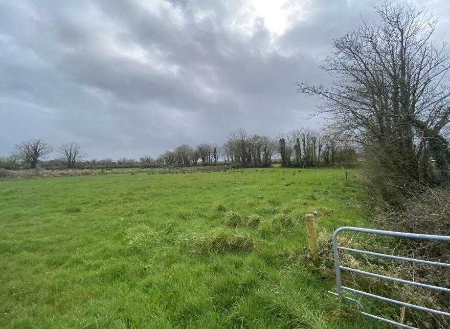Murher, Moyvane