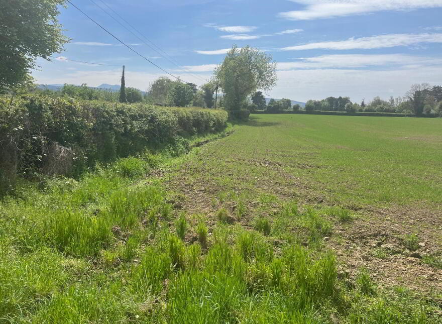 Milltown Britton, Lisronagh, Fethard, E91TD51