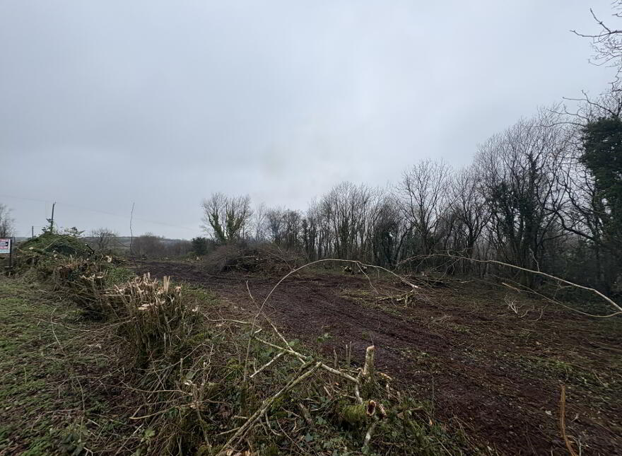 Carricklongfield Road, Aughnacloy, BT69 6DJ