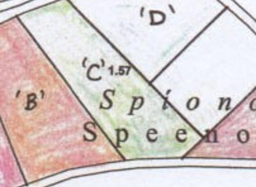Speenogue, Burt