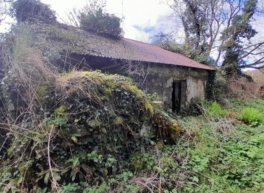 Derelict Cottage On 9.3 Acres, Swinford photo