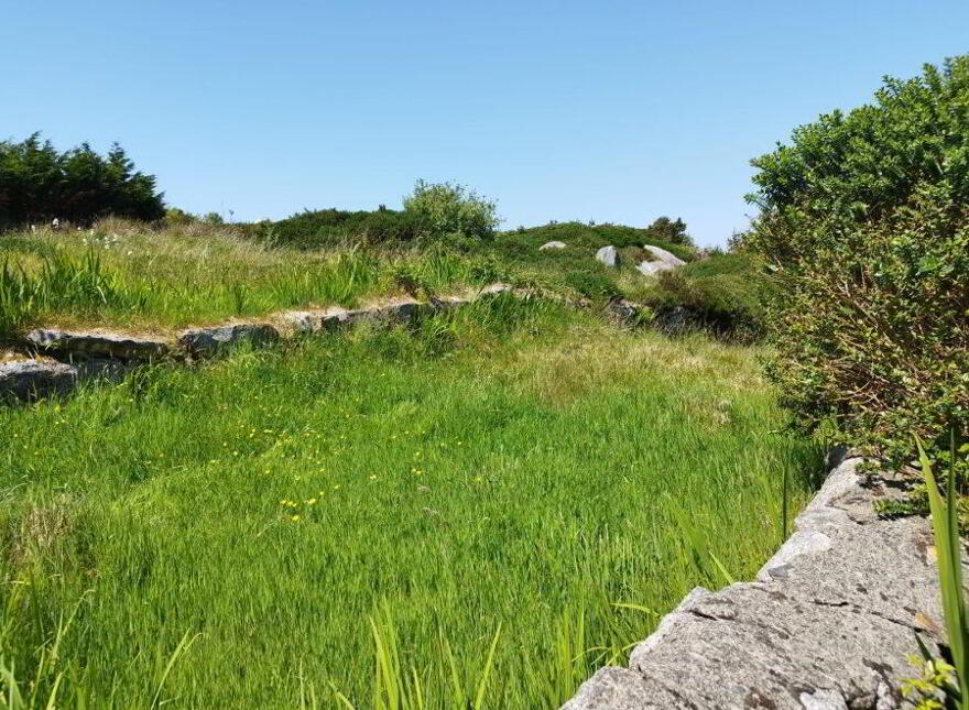 Letterdife, Connemara, Roundstone, H91RWP6