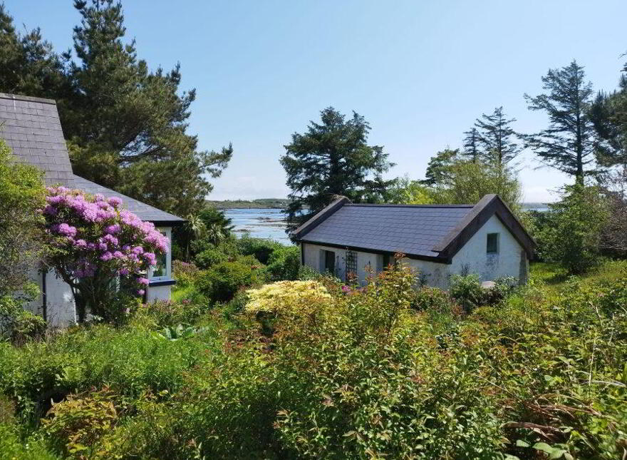 Letterdife, Connemara, Roundstone, H91RWP6