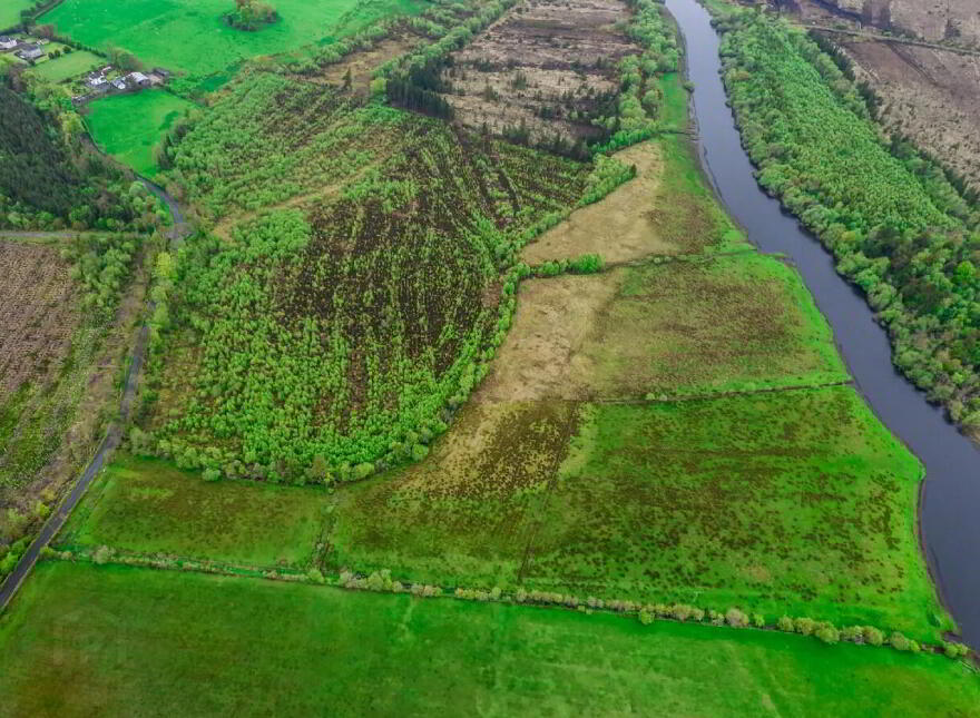 Cornaveagh, Donamon