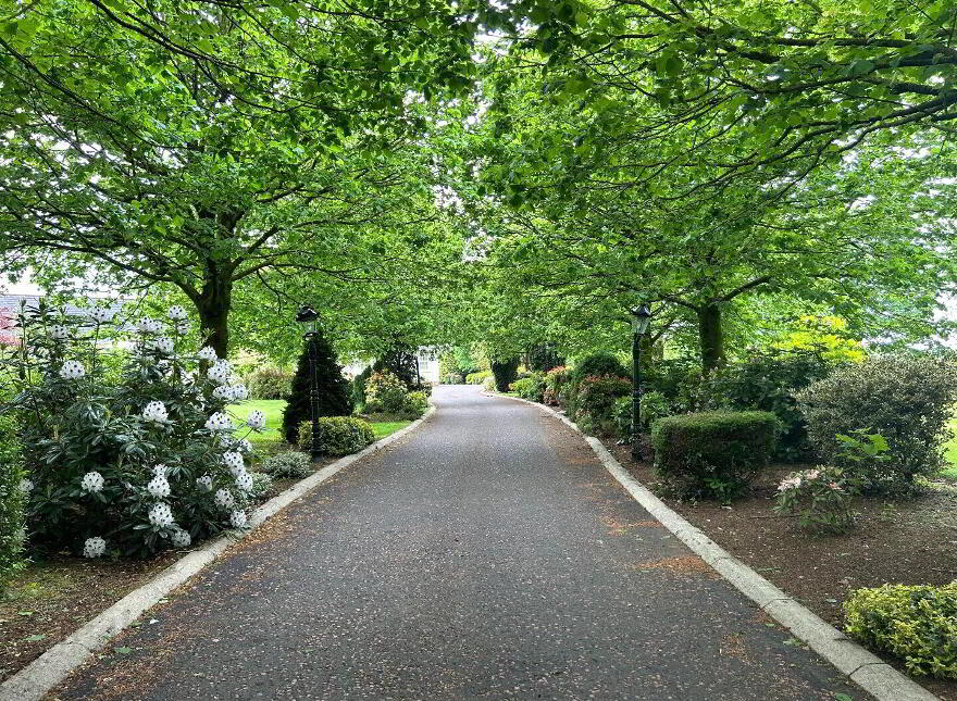 Meadowvale Equestrian Country Estate, 22 Luney Road, Magherafelt, BT45 5JW