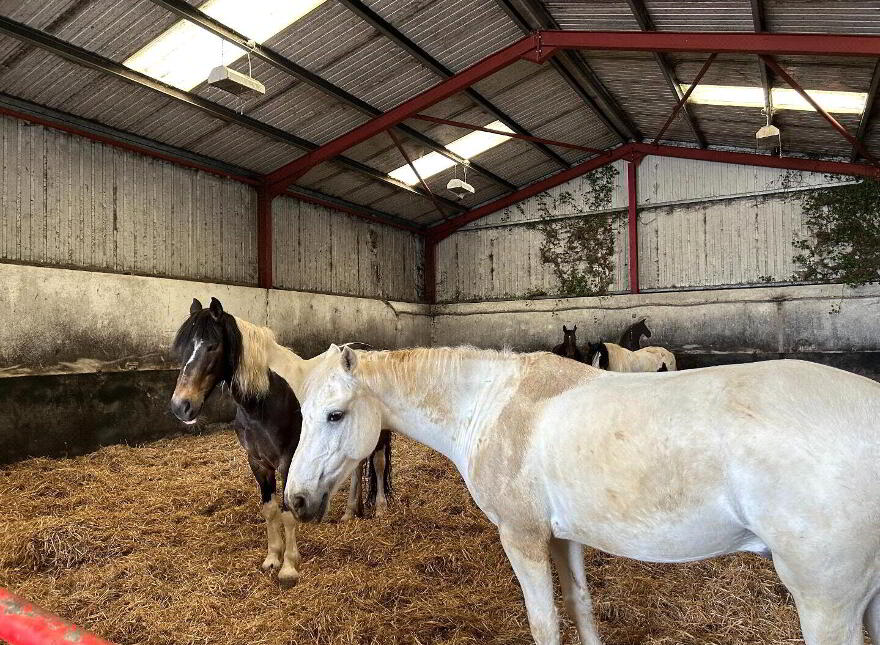 Meadowvale Equestrian Country Estate, 22 Luney Road, Magherafelt, BT45 5JW
