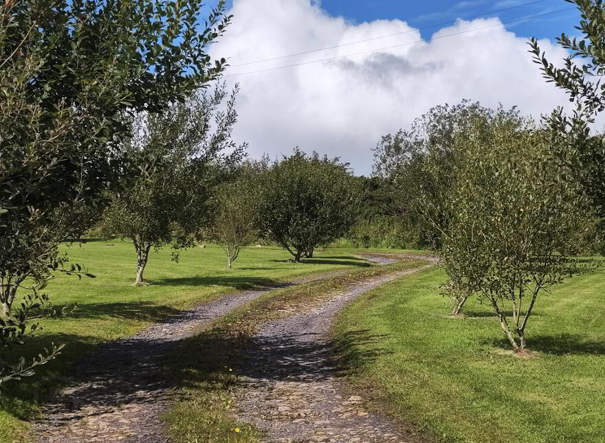 Tullyvoose;, Mountcharles, F94P9R9