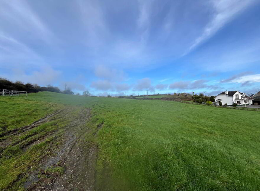 Corgrigg, Foynes