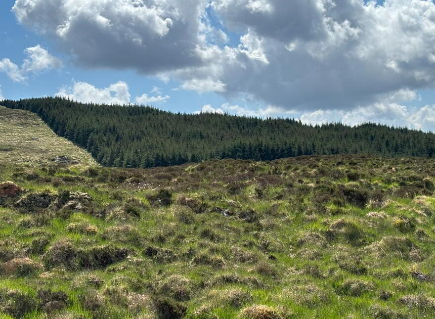 Clogher, Barnesmore, Donegal Town
