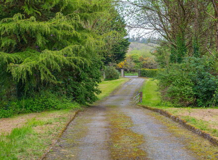 Site @, 115 Downpatrick Road, Crossgar, BT30 9EH