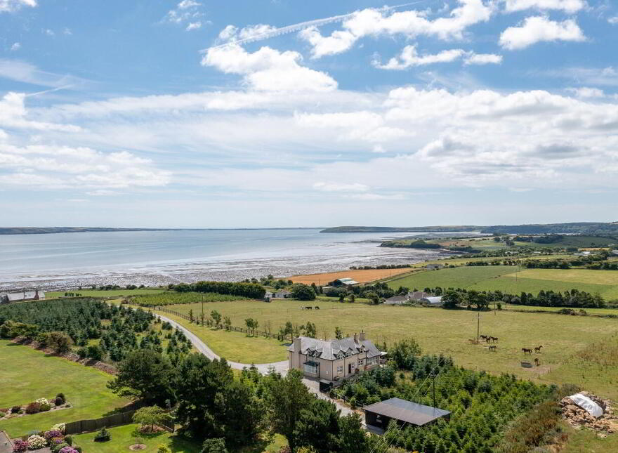 Bun Abhainn, Crooke, Passage East, X91XR92